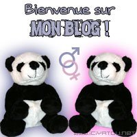 bienvenue